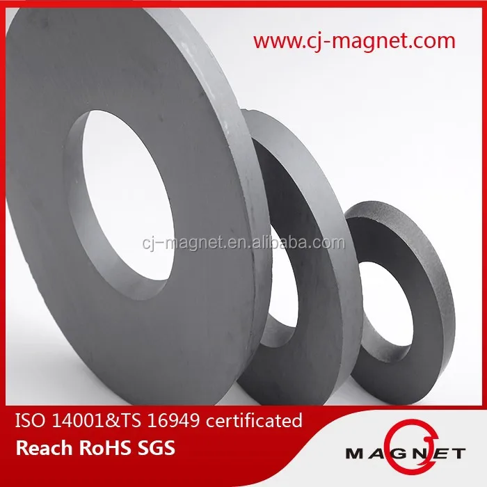 Subwoofer Ferrite Magnet