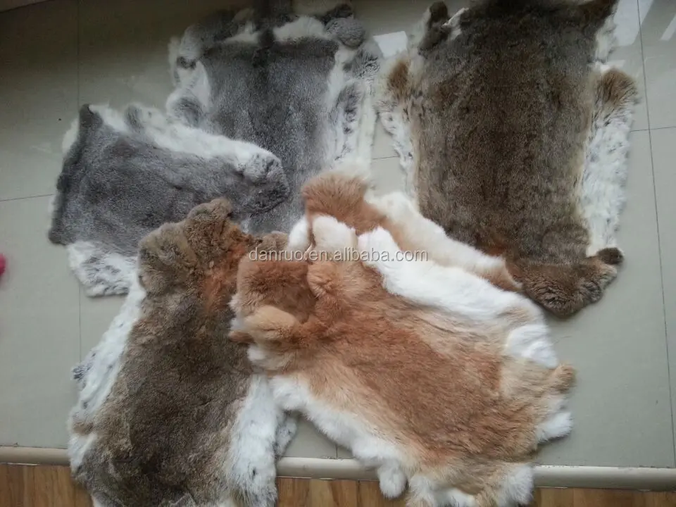 Real Rex Rabbit Fur Skins Material plates