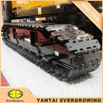 Yantai Evergrowing Import And Export Co., Ltd.