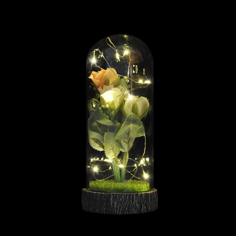 Rose flower in glass dome with base wooden and string lights