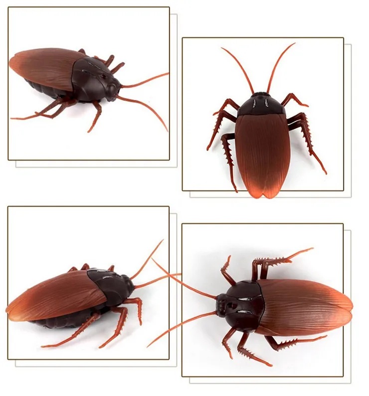 Remote Cockroach RC Cockroach DWI 9916 Mock Prank Insects RC Animal Electronic Toy Cockroach Toy