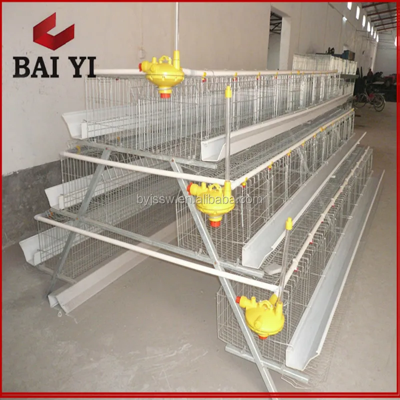 Egg Layer Chicken Cages for 5000 Birds Poultry Farm Construction