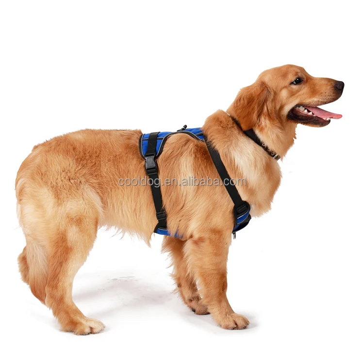 prong collar not working