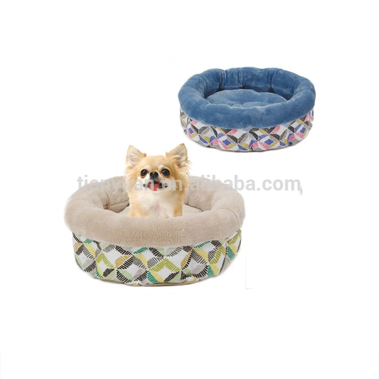fun dog beds