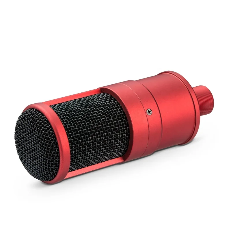 New Model PR200 Professional Wired Computer PC Studio Microphone Condenser Recording for Singing Room Broadcasting YouTube