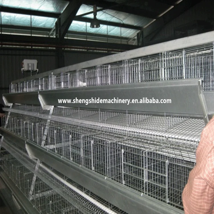 Poultry Used Chicken Farm Layer Cages for Sale in Zimbabwe