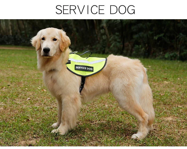 PD20025Service_02.jpg