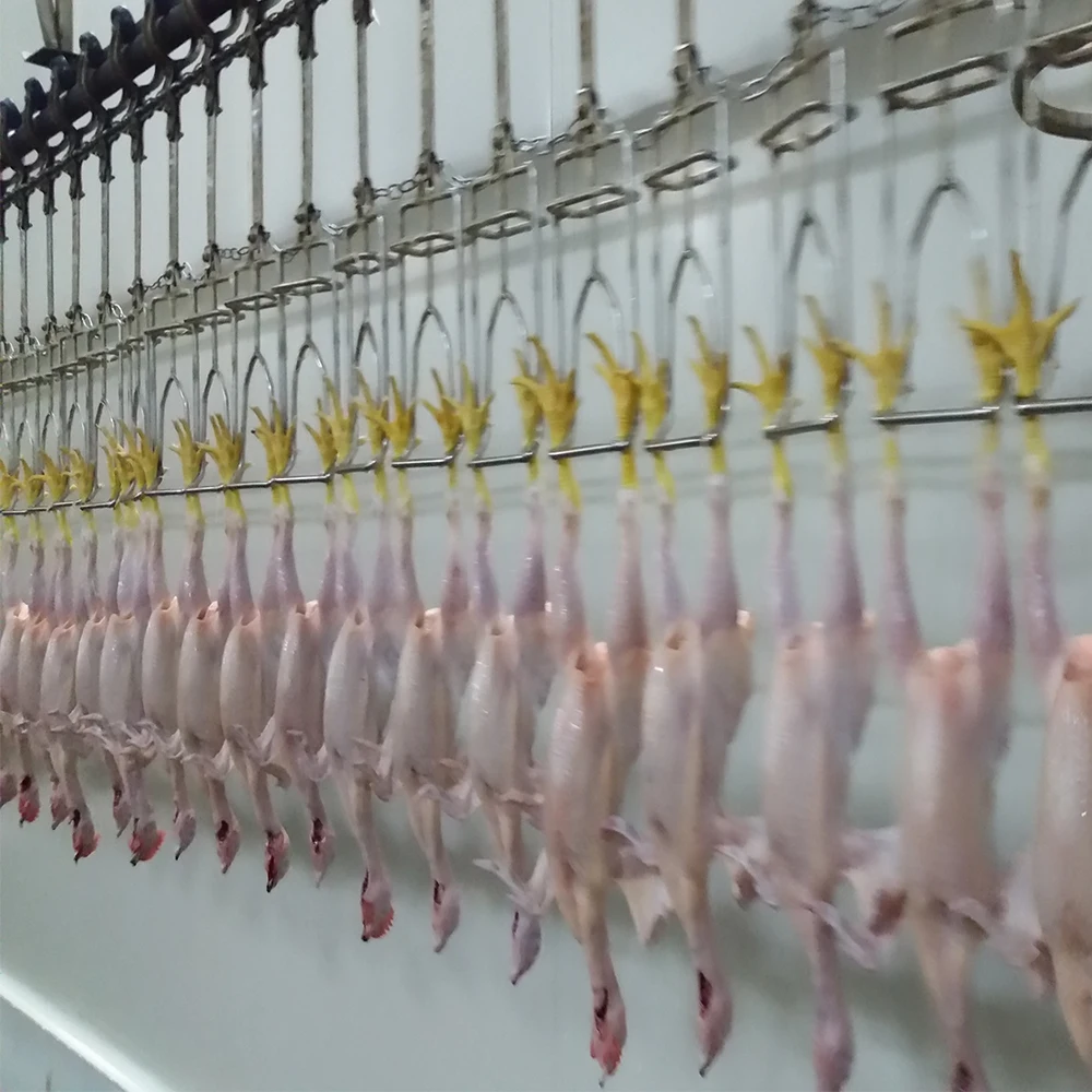 Chicken Slaughtering Used Poultry Processing Conveyor Line Shackles Equipment Chicken Broiler Turkey Duck Bird for Broiler Farm