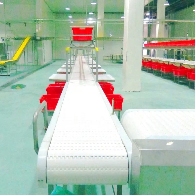 CE Standard Automatic Meat Beef Cutting Processing Belt Conveyor for Meat Plant
