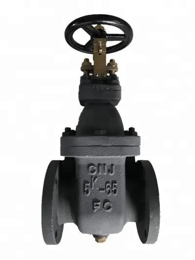 Gate Valve JIS Marine Valve 5K F7363 Gate Valve Cast Iron