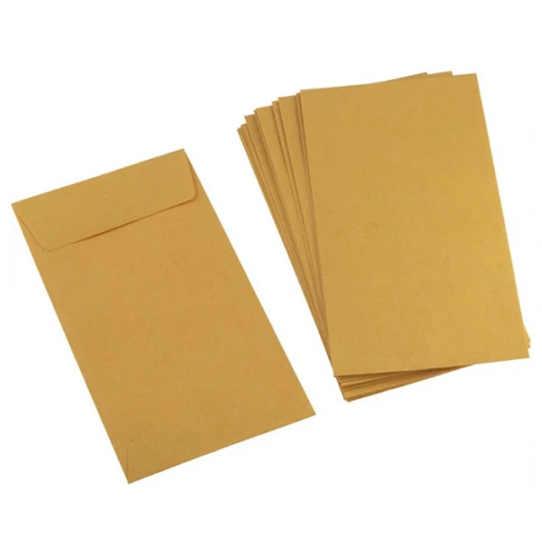 Eco-Friendly Kraft Envelope with Ribbon | Custom Printed Gift Packaging | Sustainable Mailing Solution