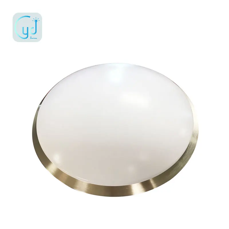 ceiling light 4 inch