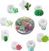 Succulente B 9pcs