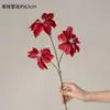 Loto Diamante Rojo (tallo único)