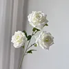 นมขาว