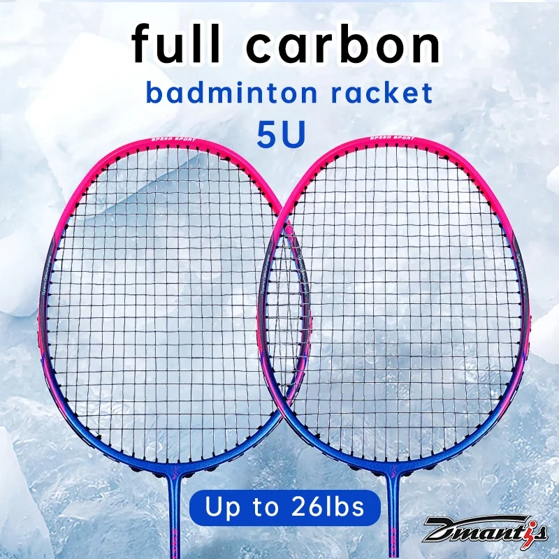 Elevate Your Badminton Skills with Dmantis D7