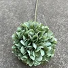 verde 4#