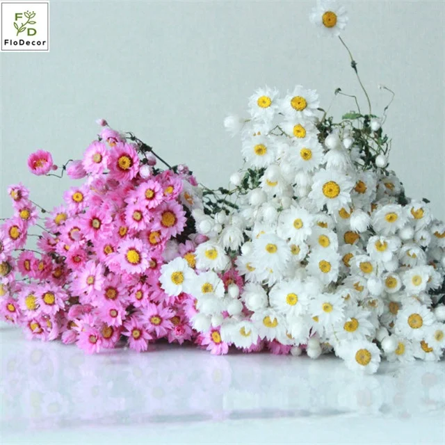 Wholesale Hot Sale Artificial Natural Processed Dried Daisy Flowers Real Touch For Diy Wedding Party Decoration Buy Dried Flowers Dried Daisy Dry Flower Bouquet Product On Alibaba Com