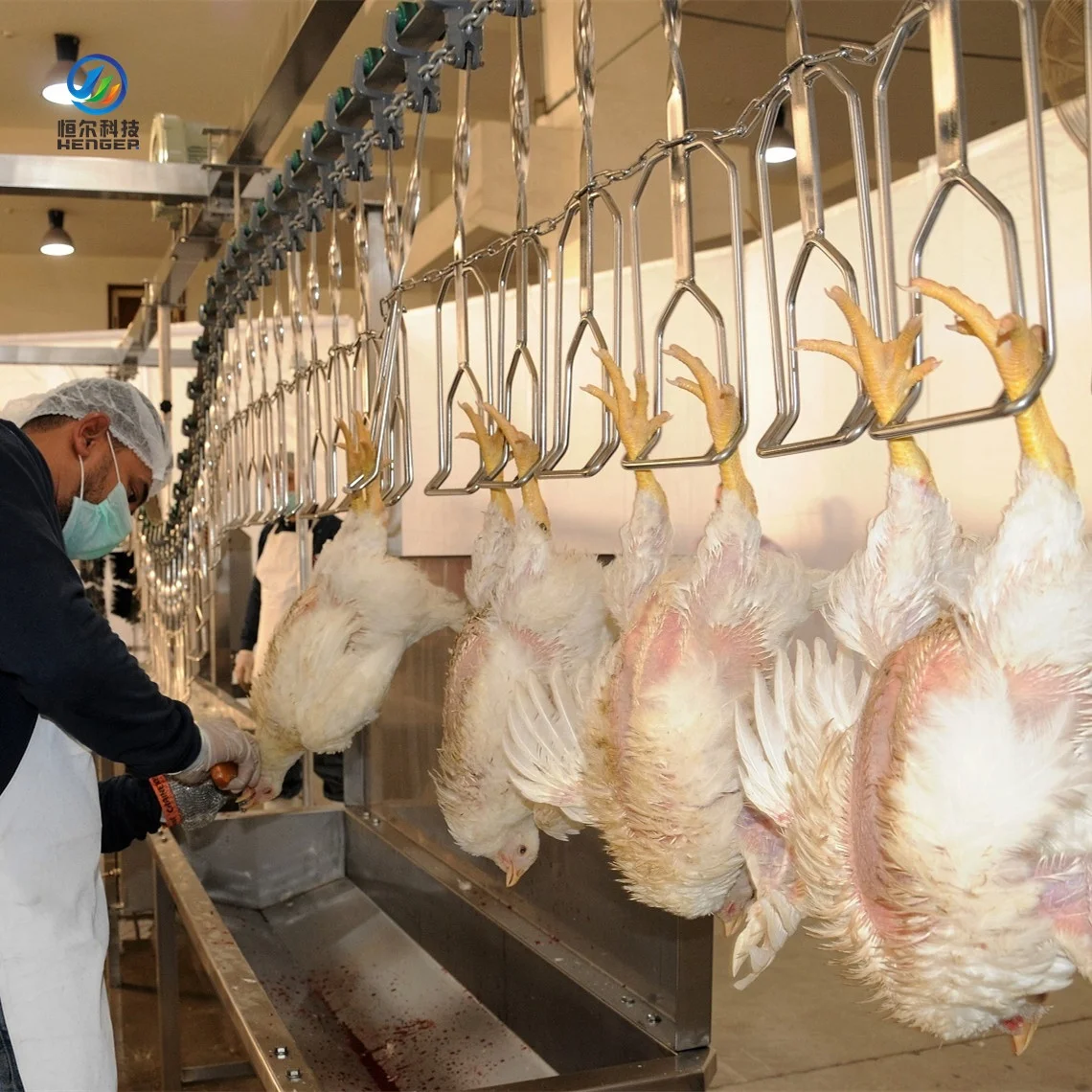 Automatic Poultry Slaughter Line Chicken Slaughtering Machine for Frozen Chicken Slaughterhouse