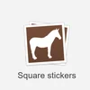 Square
