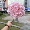 Grande ortensia rosa in stile americano a testa singola