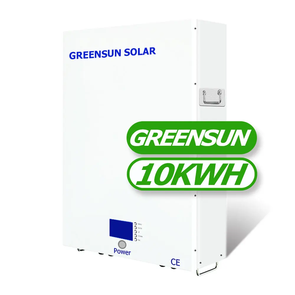 12 Years Warranty Lithium Solar Battery 48V 51.2V 100 AH 150 AH 200 AH Lifepo4 Power Wall 10kw 20kw with Sol Ark Inverter