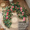 Rose-red French rose vine, 1.8 meters tall, with branches.