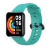 Teal Green