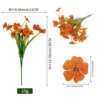 5-Headed Spring Grass Violet - Orange