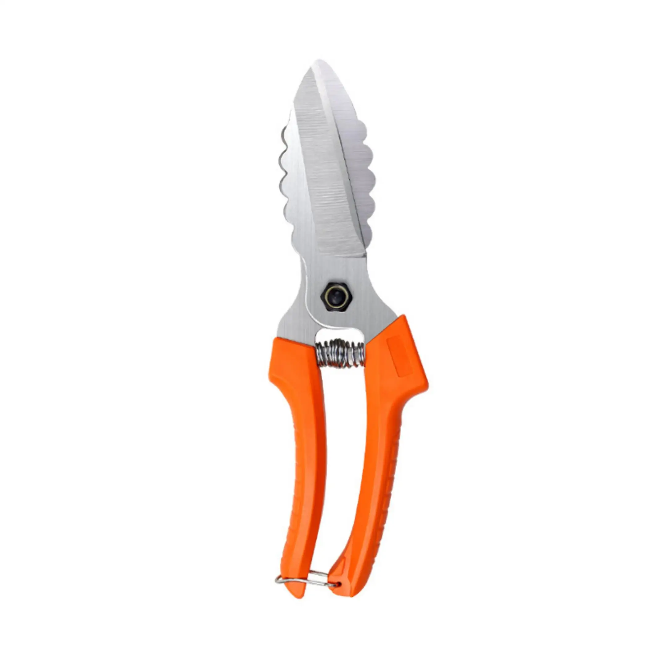 Garlic Scissors for Cutting Sprouts Onions Kitchen Shears - Durable