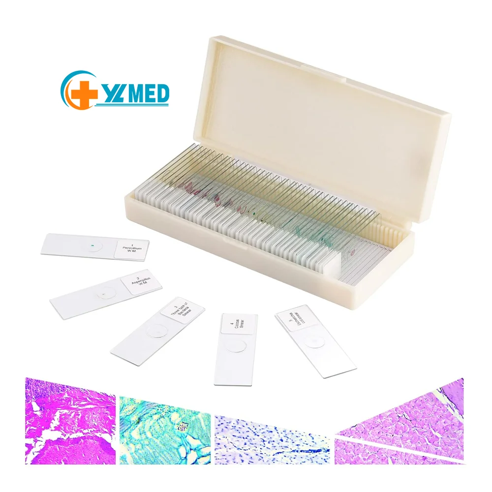 哺乳动物组织学载玻片单独显微镜制备载玻片用于生物实验室设备的英文版标签在载玻片侧, image size:1000x1000