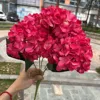 C-9 rojo rosa