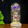 Luce calda fiocco di neve diamante viola farfalla magica viola silic