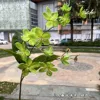 2 forchette drappeggio verde gelsomino