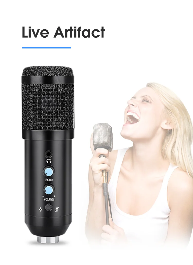 BM-868 USB Condenser Microphone for Professional Voice Recording