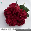 Hidrangea copo de nieve de 5 cabezas WY Red