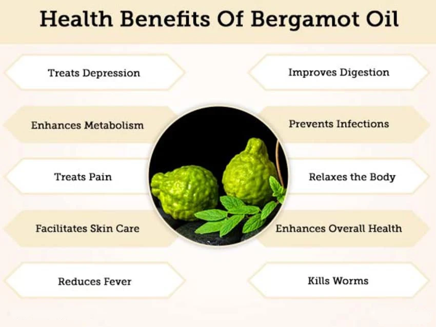 Nice bergamot essential. Bergamot перевод. Бергамот при головной боли. Бергамот можно при низкой давления. Как правильно говорить бергамот или бергамот.