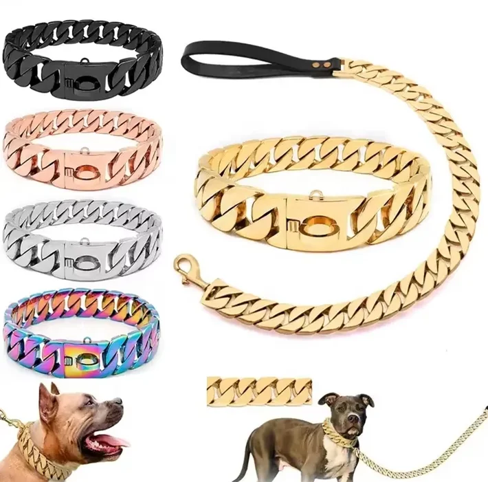 gold dog leash big dog collar chain