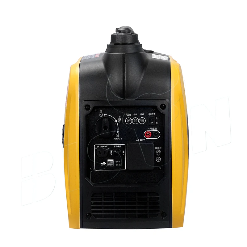Bison China Silent Portable Gasoline Inverter Generator,South Africa