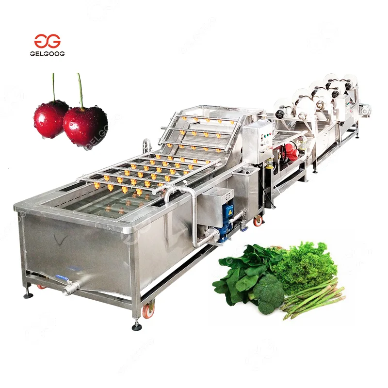 Water Melon Vegetable Washing Machine Fruit and Vegetable Wash Fruit Cleaning With Ozone
