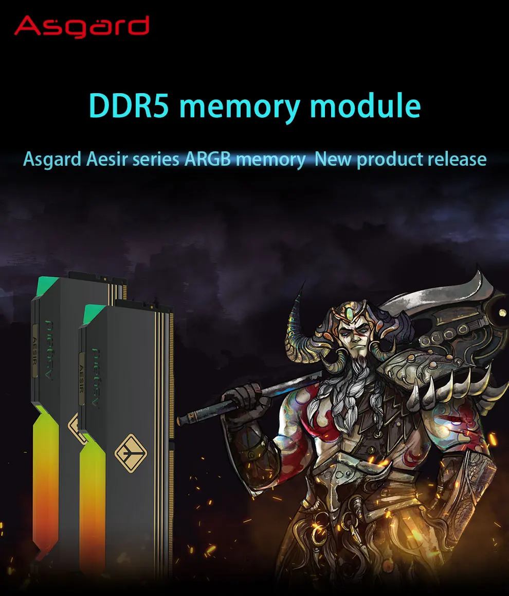Asgard ddr5. Asgard ddr5-4800.