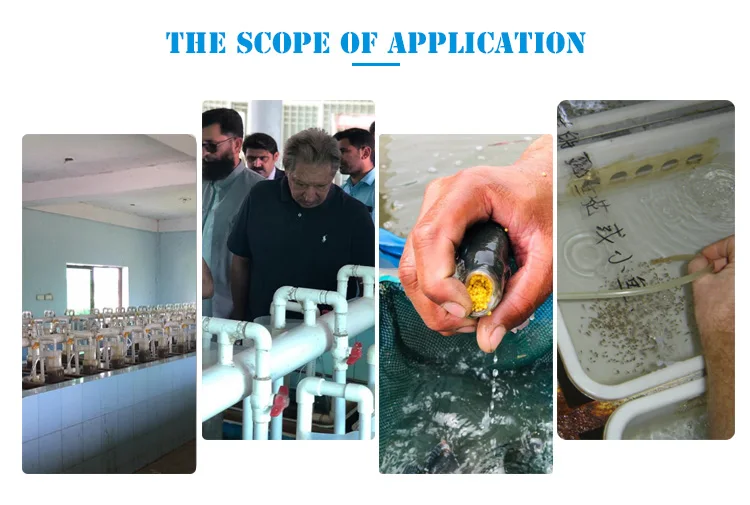 Indoor Tilapia Egg Incubator Tilapia Hatchery System Ras Hatchery Buy