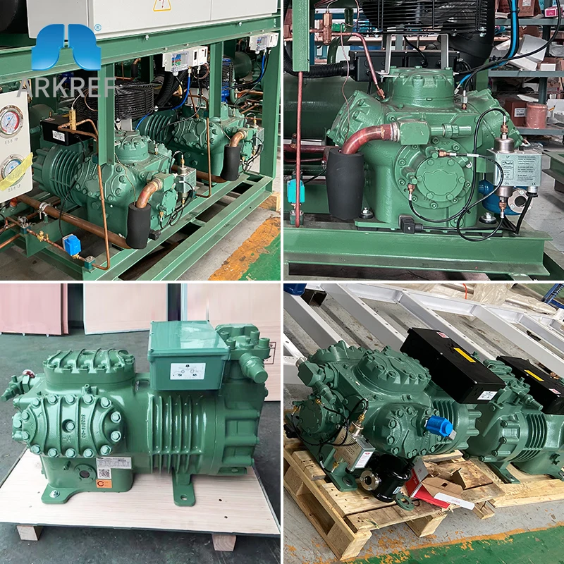 1HP 2HP 3HP 6HP 7HP Piston Type Compressor Germany Bitzer Compressor Semi-hermetic Reciprocating Piston Compressors