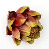 Rojo-11CM