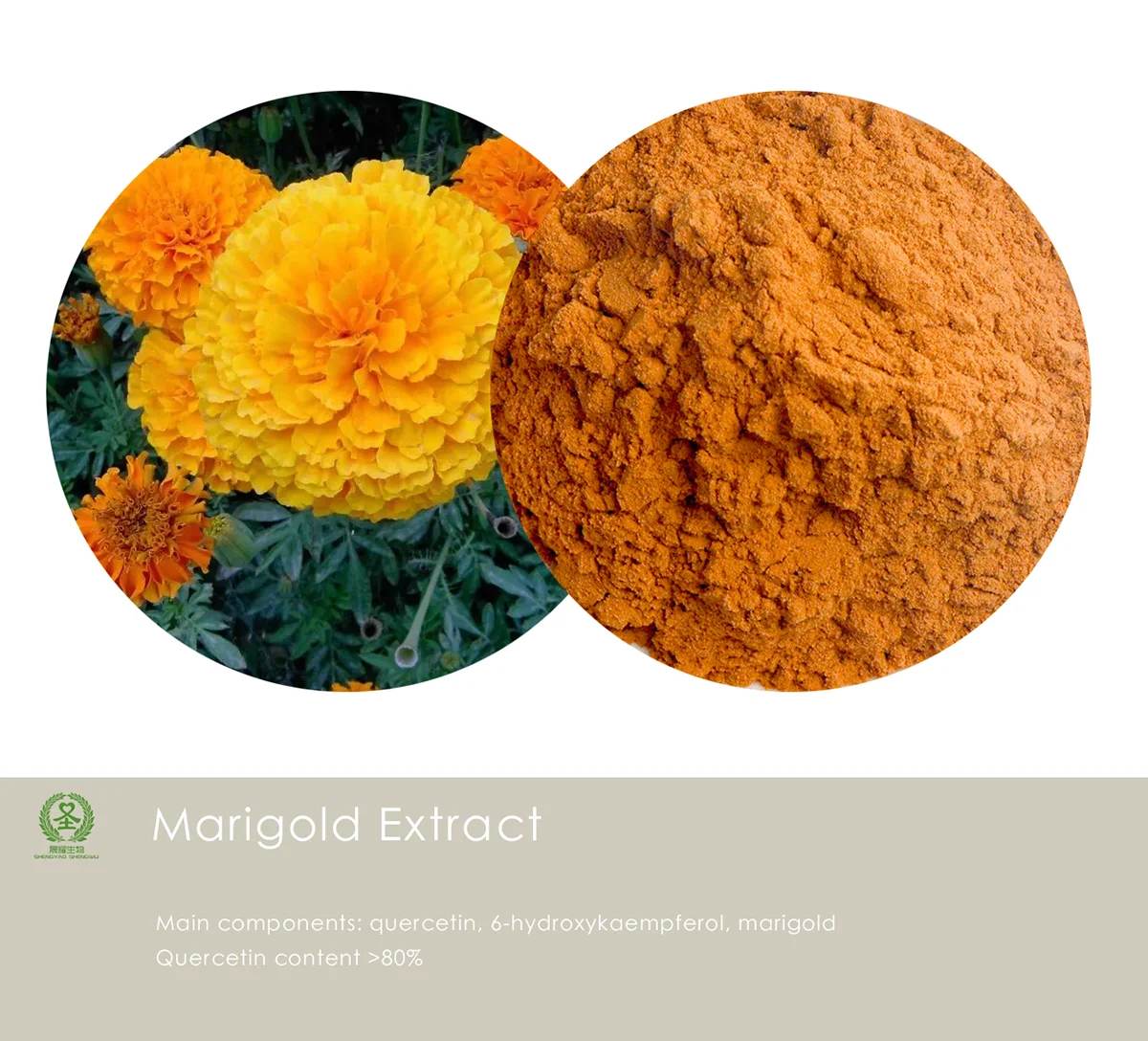 Factory Supply Marigold Flower Extract\quercetin Content 80 Marigold