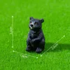 Oso negro de 7 plazas