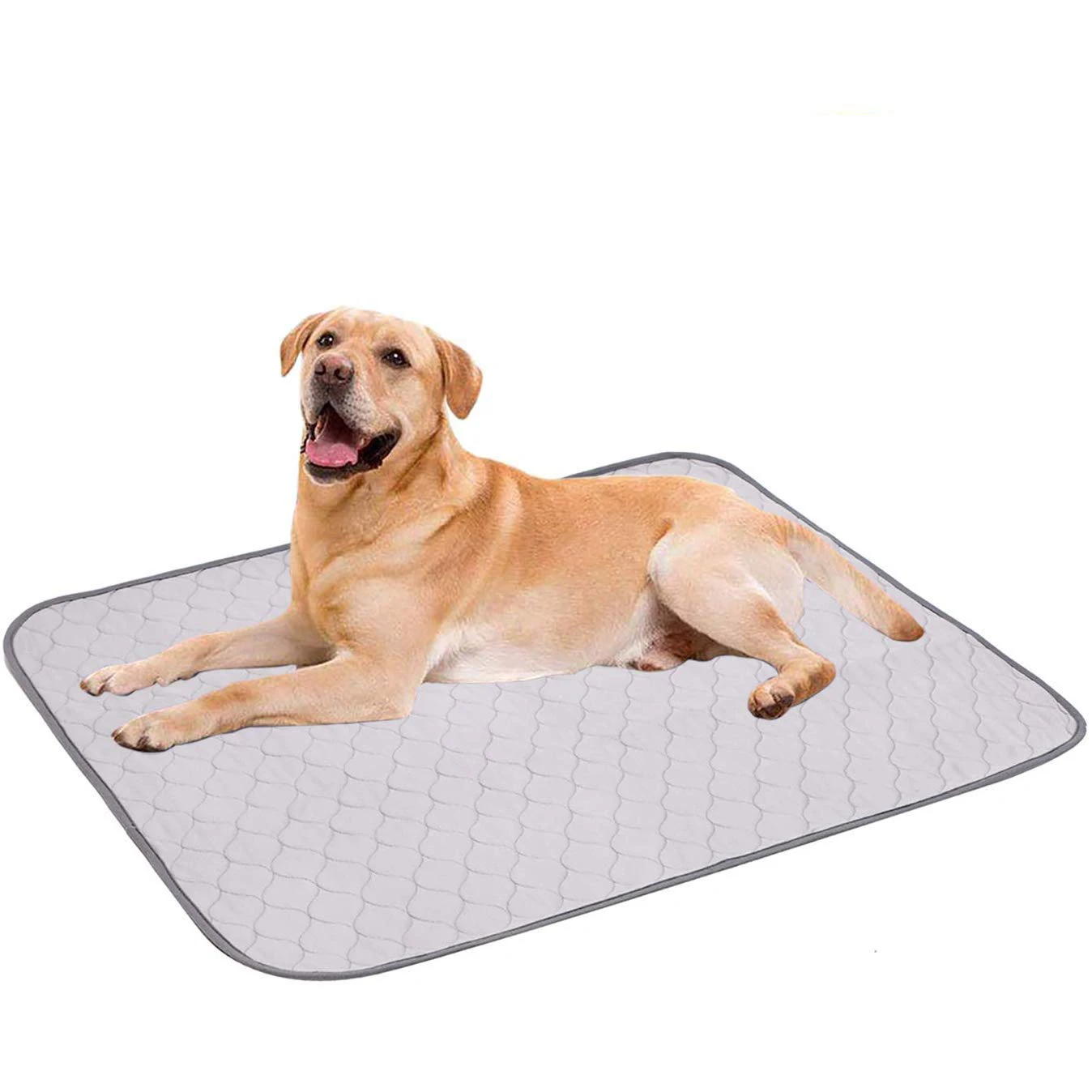 Pet Potty Pee Training Pads