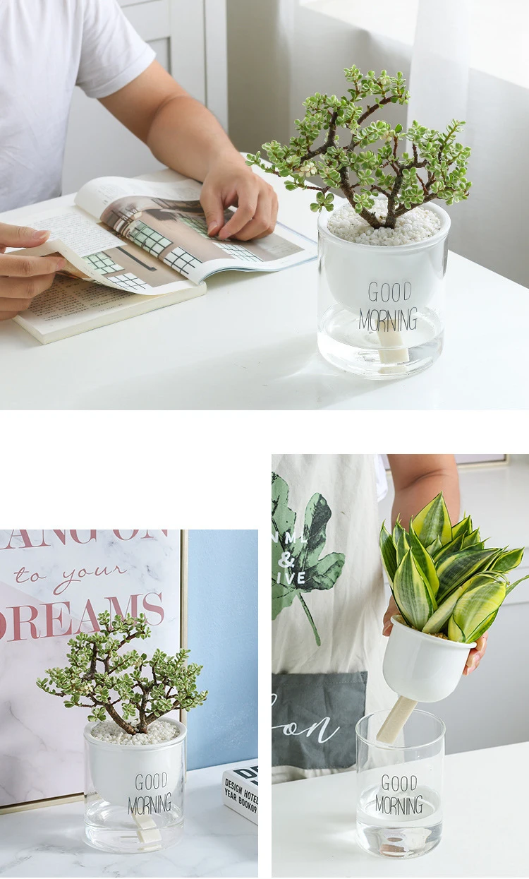 Simple Desktop Potted Plant Lazy Glass Ceramic Flower Pots Planters