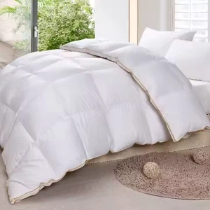 Best Quality White Cotton Duck Down Duvet White Goose Down Comforter Bedding Quilt Insert for Home Hotel