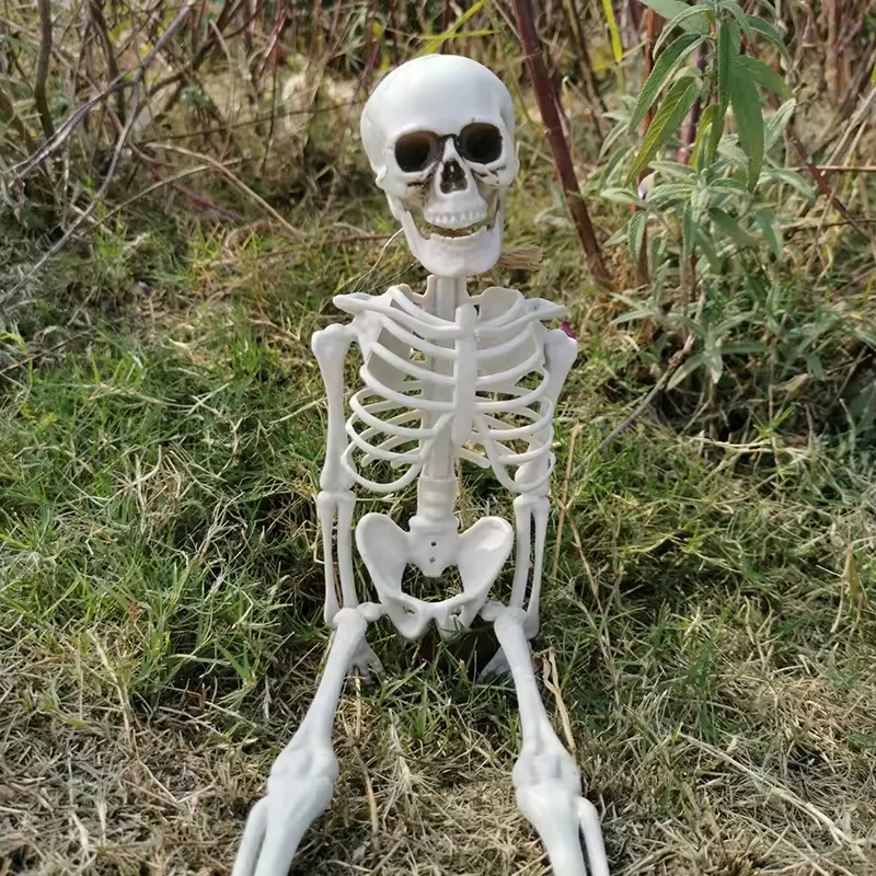 Creepy Joints Pos Ablebones Human Realistic Full Body Life Size Plastic Prop Halloween Skeleton for Indoor and Outdoor